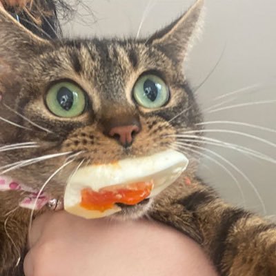 ACSDSX's profile picture. 