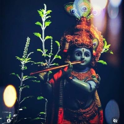 hjadon5252's profile picture. 