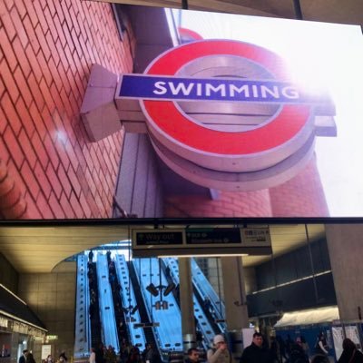 swimcanarywharf Profile Picture