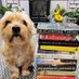 The Librarian (@benjiandbooks) Twitter profile photo The Librarian (@benjiandbooks) Twitter profile photo