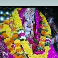 Narendra Prajapati (@narendr88883306) 's Twitter Profile