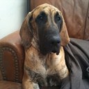 Dave Mansell - @mansell1966 - Twitter