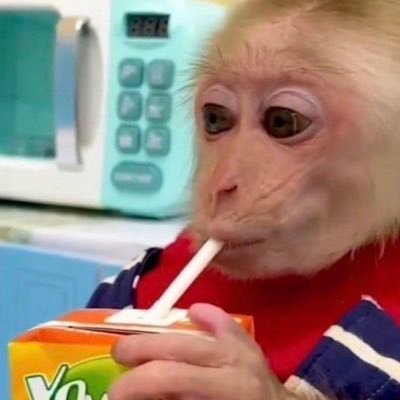 hellozeynooo's profile picture.