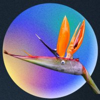 zkMenno 🌱 (@zkmenno) 's Twitter Profile Photo zkMenno 🌱 (@zkmenno) 's Twitter Profile Photo
