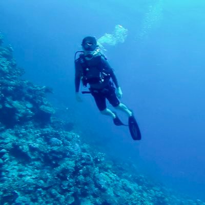 jorge_h_l_'s profile picture. Personal views. Thoughts. Chess. Lasers & integrated photonics. ex @Yale @KAUST_news. Now with @Corning. I can't recall when but I fell in love with life 🌎🌍🌏