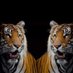 Angel De La Cruz Garcia (@AngelDe35336156) Twitter profile photo Angel De La Cruz Garcia (@AngelDe35336156) Twitter profile photo