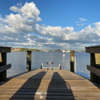 Lillly45's profile picture. Term limits 🇺🇸 Back the blue 🇺🇸 Mamabear 🇺🇸