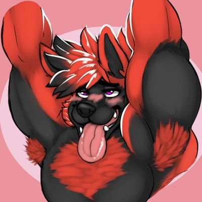 Sven Foxさんのプロフィール画像