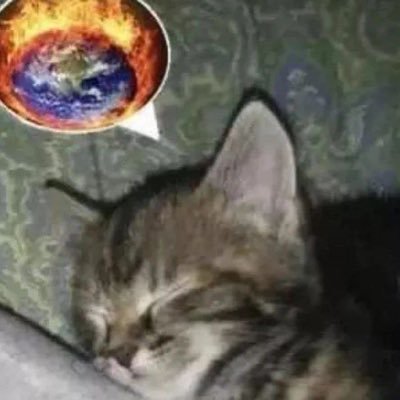 armainaikaa's profile picture. 宇宙で行きたい