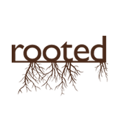 mbcrooted's profile picture. The big discipleship invitation from Morningside Baptist Church