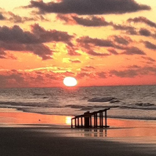 AllenGodsey's profile picture. 