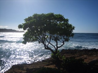 williamhaggerty's profile picture. 