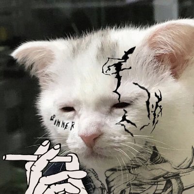 brenxx00's profile picture. •17y• @botafogo• @lessloko