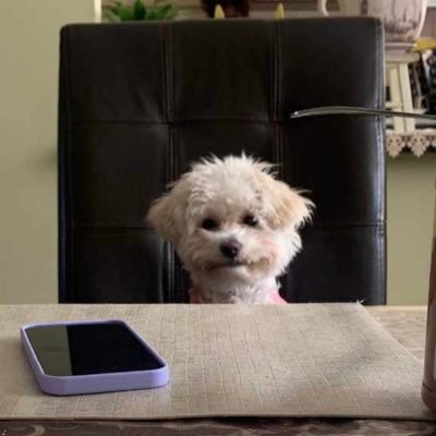 lucylusu's profile picture. Definirme me limita.