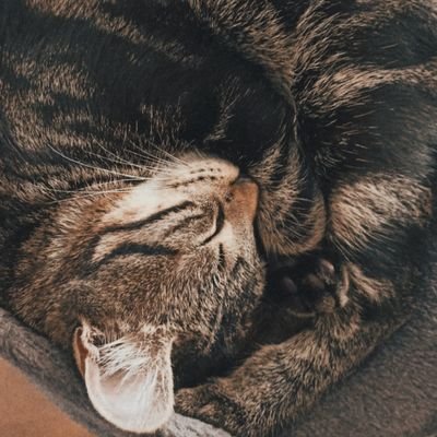 AngelLea76's profile picture. I love Animals
01.03.2013 ❤💍 #love