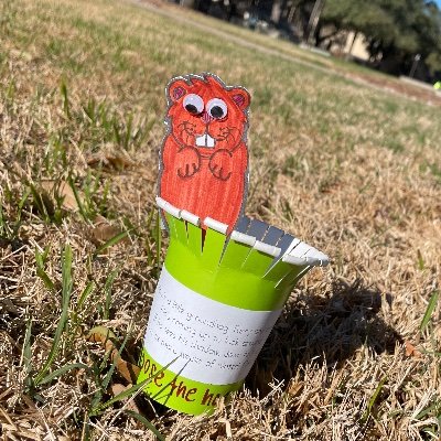 lilmissteacherr's profile picture. live. laugh. mathematics