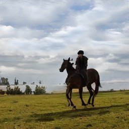 AngieSm55995458's profile picture. Life is but a hard and tortuous journey.