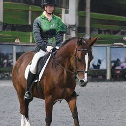 AlyssaH01516754's profile picture. Life is painting a picture, not doing a sum.