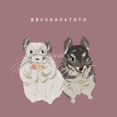 6匹のチンチラネズミ🐭 エコ♀(スタンダードグレー)、ドラ♂(バイオレットベルベット)、ベイマックス♂(シルバーパイド)、タプ♀(スタンダードグレー)、とと♀(スタンダードグレー)、ベッカム♀(シルバーパイド) 🐭無言フォローすみません🙏情報交換、よろしくお願いします!