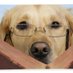 NTES_Library (@ntes_lib) Twitter profile photo NTES_Library (@ntes_lib) Twitter profile photo