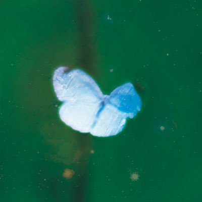 隣雲さんのプロフィール画像