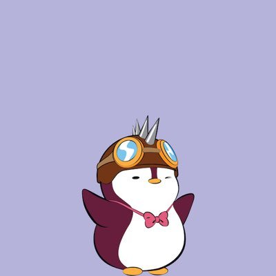 Hi, nft lover here that spreads love and joy. Pudgipengupapi is rdy for take off. Abashooo