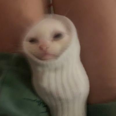 He/They?(figuring that one out)|
21|
18+ ONLY NO MINORS|
msg me if you sell queer content|