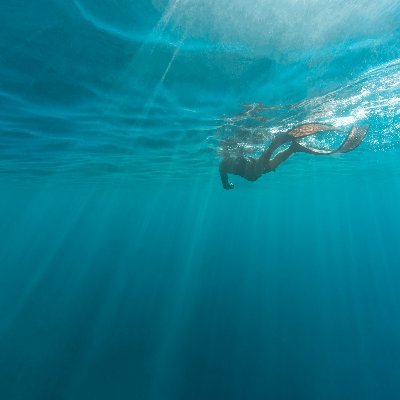 ijbhjb's profile picture. 