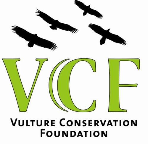 Vulture Conservation