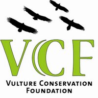 Vulture Conservation (@vultureconserva) 's Twitter Profile