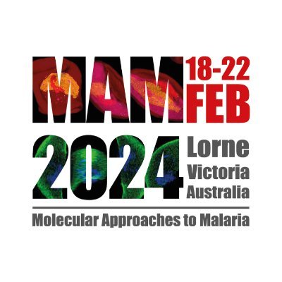 The Molecular Approaches to Malaria (MAM) 2024 Conference will take place at the Mantra Lorne from Sunday 18 – Thursday 22 February 2024.