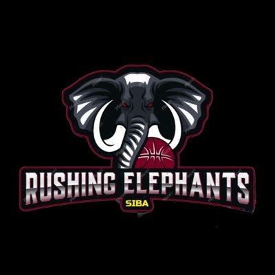 Rushing Elephants Profile