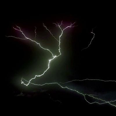 Pearlro72654378's profile picture. 