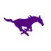 Mustang Superintendent (@mustang_supt) Twitter profile photo Mustang Superintendent (@mustang_supt) Twitter profile photo