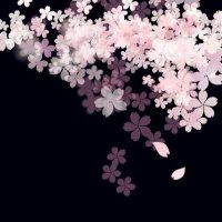 千夜桜 (@chiyo_sakura39) 's Twitter Profile