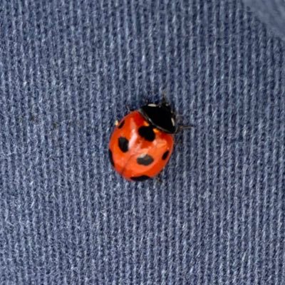 ポツリズムさんのプロフィール画像
