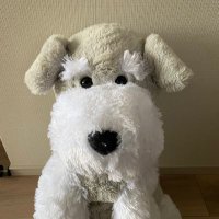 nonbiri『のん』🍏 (@kaokao06403868) Twitter profile photo