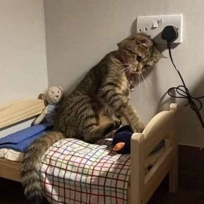 ujuk_ch's profile picture. 