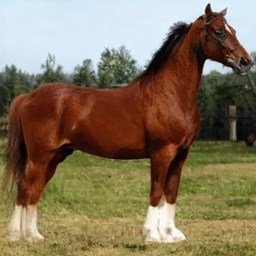 Tiffany73845442's profile picture. #zkApes #Metatime