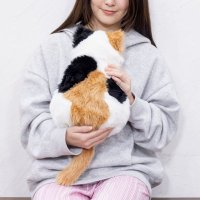 CocoMeow*ココミャウ【公式】 (@meowever_ptns) 's Twitter Profile Photo CocoMeow*ココミャウ【公式】 (@meowever_ptns) 's Twitter Profile Photo