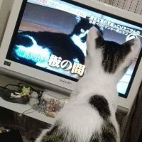 さきにゃん😺(@DqFdfKIXGg9iPeb) 's Twitter Profile Photo