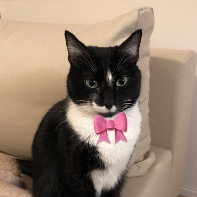 Kristen_Hayford's profile picture. The Other West Coast