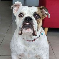 Salocin_col (@salocin_col) 's Twitter Profile