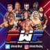 Patriotic Wrestling (@PatrioticWrestl) Twitter profile photo