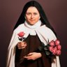 StaTeresinha_'s profile picture. Depois da minha morte, farei cair do Céu uma chuva de rosas 🌹🌹🌹❤️🙏