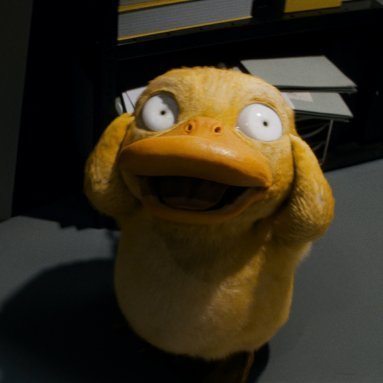 ellmogu's profile picture. 我无坚不摧，也无所不能