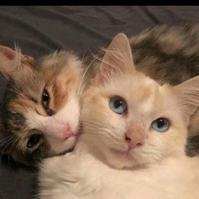 OsamaThouraya's profile picture. 𝑀𝑜𝑜𝑛 𝐼𝑠 𝑃𝑟𝑒𝑡𝑡𝑦 𝐵𝑢𝑡 𝐼'𝑚 𝑃𝑟𝑒𝑡𝑡𝑖𝑒𝑟.♡