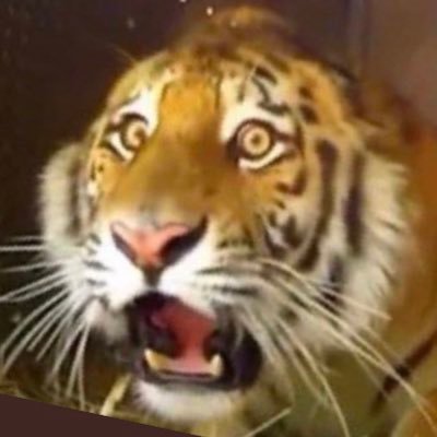 ClockworkTerps's profile picture. Geiger counter. Israeli American Jew. Dodgers, Clippers, Rams, LA Kings