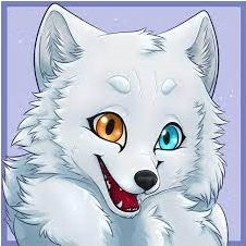 polar fox furry