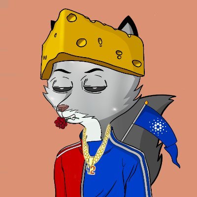 Discord: BMoney29, Irish Catholic. #Robin100, Life Long Learner, PFP: Bad Fox Motor Club - 1/1 Kumara
Banner: Bad Fox Transcendence Event Pair for Bad Fox Key